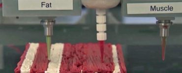 Les steaks à base de plantes peuvent désormais être produits à partir d'une imprimante 3D