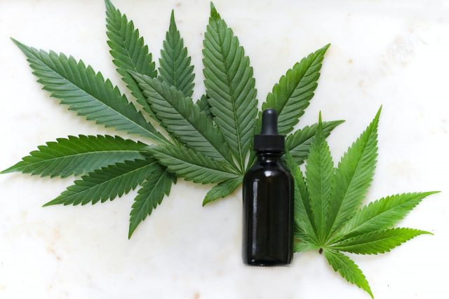 Les différentes utilisations du CBD