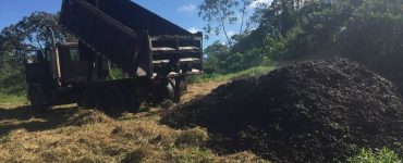 Des déchets de café utilisés pour remettre en état des terres anciennement cultivées