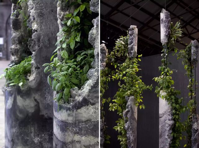 Jaime North crée des sculptures hybrides avec des produits industriels et des plantes