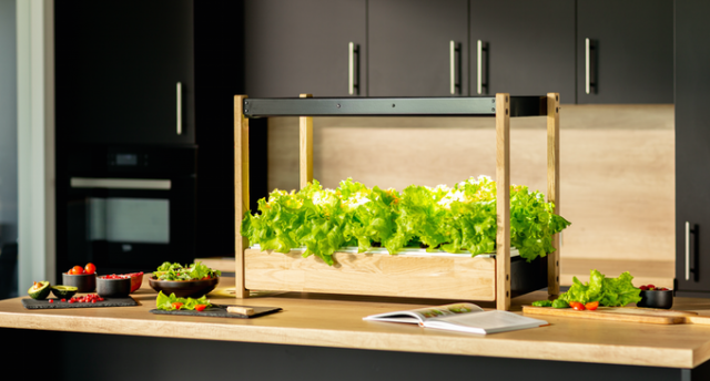 Click & Grow installe un potager sur le plan de travail de votre cuisine