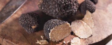 Burwell Farms possède le verger à truffes le plus productif du monde