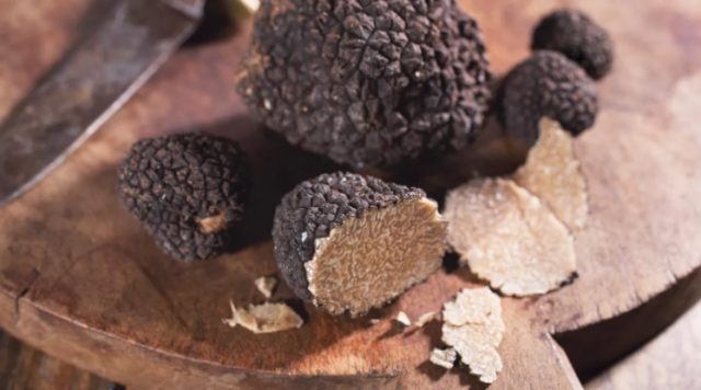 Burwell Farms possède le verger à truffes le plus productif du monde