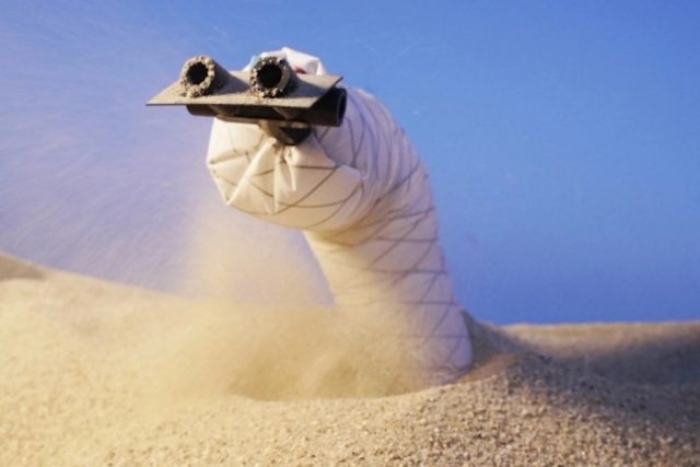 Ce robot serpent qui creuse un tunnel s'inspire de la nature pour garder la tête dans le sable