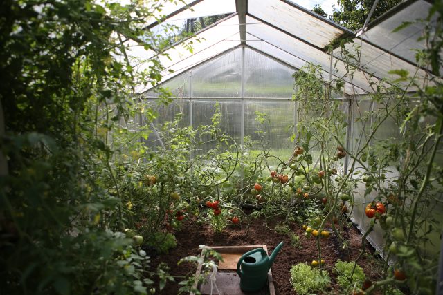 Créer son potager pour être autosuffisant