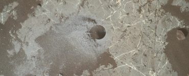 Curiosity a découvert de la vie sur Mars