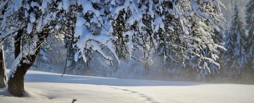 Quelques règles simples pour s’habiller chaudement en hiver