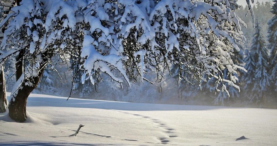 Quelques règles simples pour s’habiller chaudement en hiver