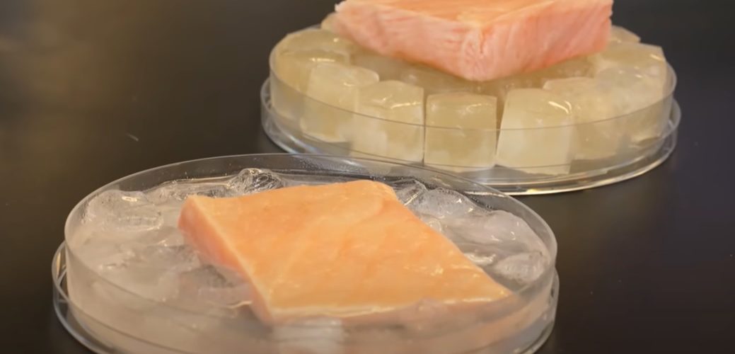 Ces nouveaux glaçons en gelée pourraient transformer la conservation des aliments froids