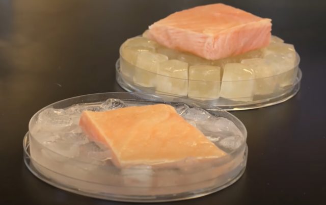 Ces nouveaux glaçons en gelée pourraient transformer la conservation des aliments froids