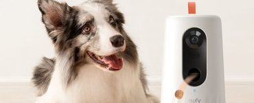 Eufy D605 - Une caméra pour surveiller votre chien