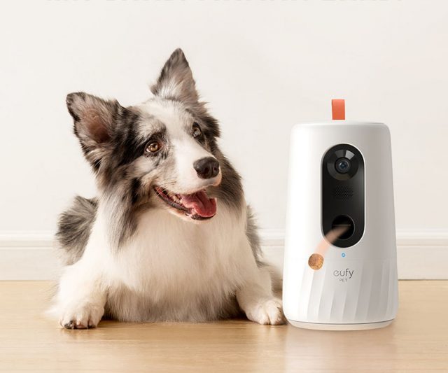 Eufy D605 - Une caméra pour surveiller votre chien