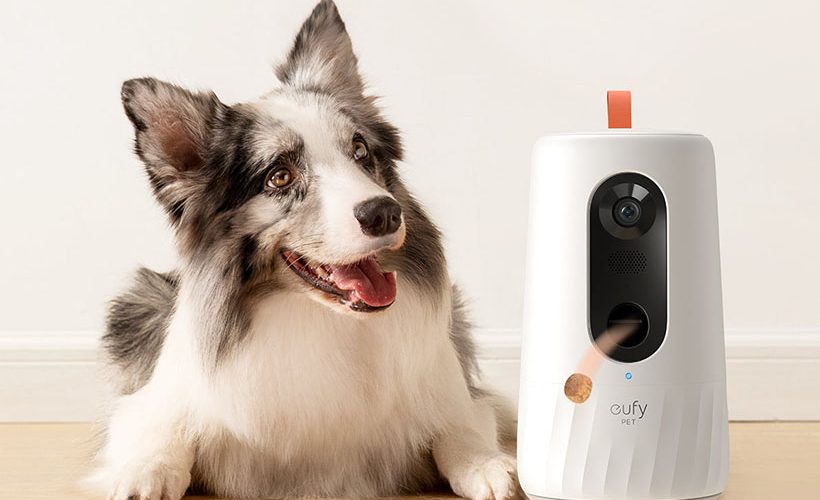 Eufy D605 - Une caméra pour surveiller votre chien