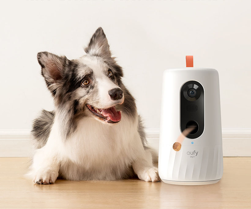 ⨻ᐈ Caméra espion pour chat : Surveillez en permanence votre animal de  compagnie ⇒ Player Top ®