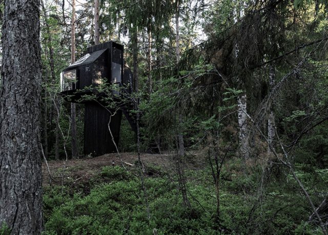 Polestar lance KOJA, une micro-maison dans les arbres pour réimaginer le voyage durable