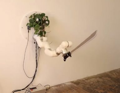 David Bowen donne le contrôle de machettes aux plantes et de fusils aux mouches
