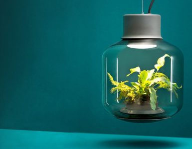 Mygdal Plantlight apporte de la verdure à l'intérieur avec la technologie SmartGrow 1