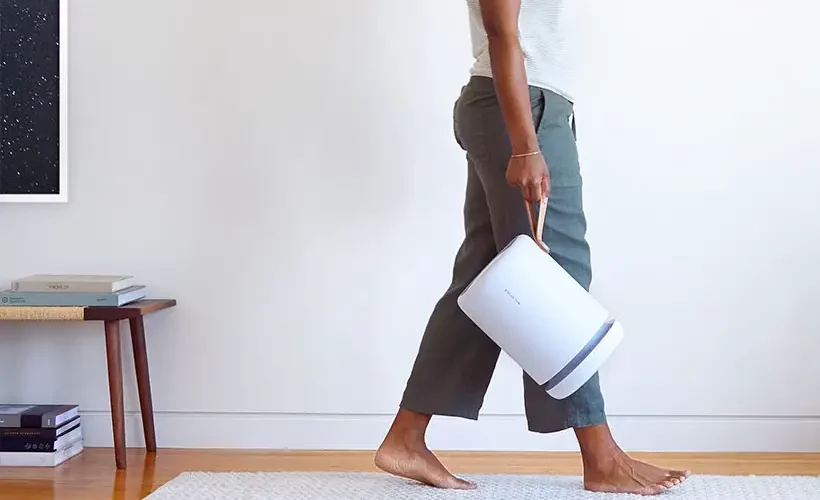 Molekule Air Mini