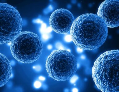 La thérapie par cellules souches régénère les cellules cardiaques endommagées et améliore leur fonction