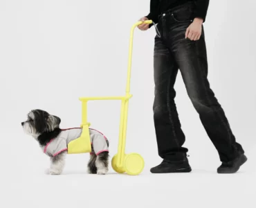 Steady - Aide à la marche stable et moderne pour les chiens âgés ayant des problèmes liés à la marche