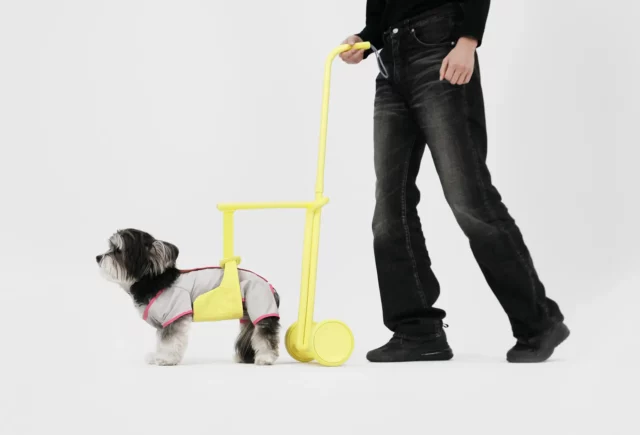 Steady - Aide à la marche stable et moderne pour les chiens âgés ayant des problèmes liés à la marche