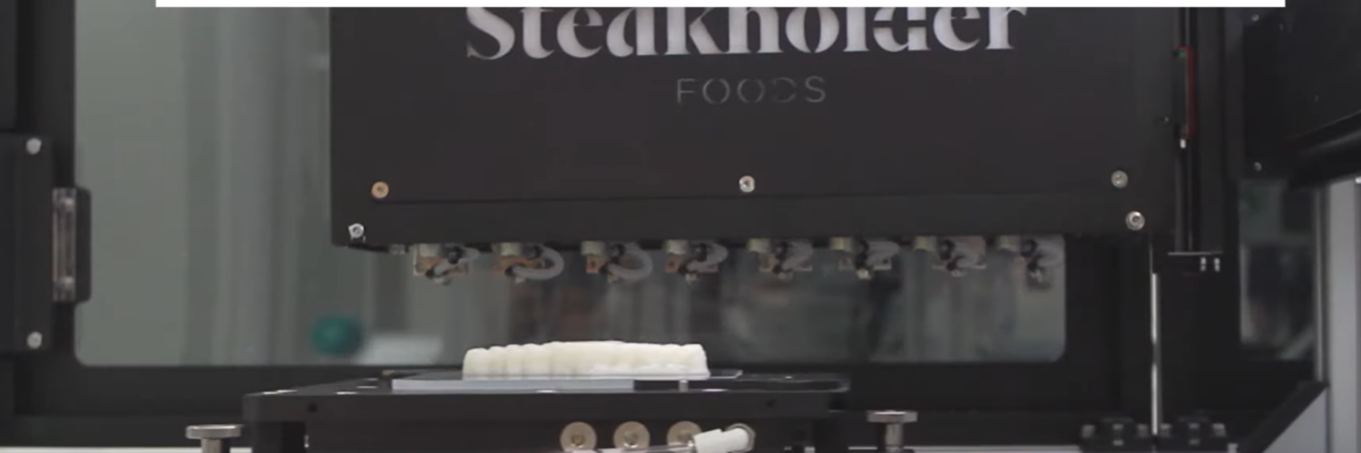 Steakdolder cultive et imprime des filets de poisson en 3D