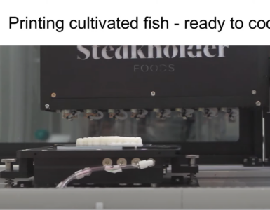 Steakdolder cultive et imprime des filets de poisson en 3D