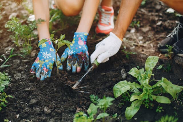 calories une heure de jardinage